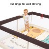 Large Baby Playpen with Mat, Play Yard for Toddlers, Includes Balls, Pull Rings, Anti-Slip Suckers, and Gate – Indoor & Outdoor Use