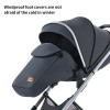 SteAnny Convertible Baby Stroller, Foldable Newborn Pram, Baby Carriage, Standard Stroller Suit Toddler Infant