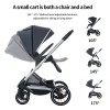 SteAnny Convertible Baby Stroller, Foldable Newborn Pram, Baby Carriage, Standard Stroller Suit Toddler Infant